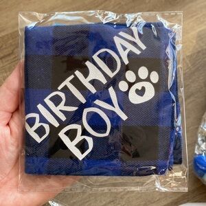 4 for $25 pet birthday decorations (flaw on hat)